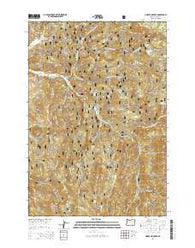 Limber Jim Creek Oregon Current topographic map, 1:24000 scale, 7.5 X 7.5 Minute, Year 2014