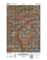 Lionshead Oregon Historical topographic map, 1:24000 scale, 7.5 X 7.5 Minute, Year 2011