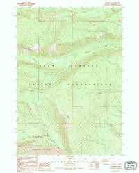 Lionshead Oregon Historical topographic map, 1:24000 scale, 7.5 X 7.5 Minute, Year 1988
