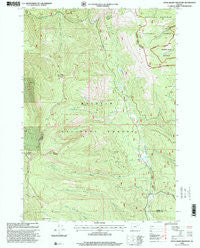 Little Baldy Mountain Oregon Historical topographic map, 1:24000 scale, 7.5 X 7.5 Minute, Year 1998