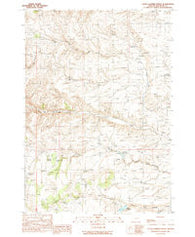 Little Juniper Spring Oregon Historical topographic map, 1:24000 scale, 7.5 X 7.5 Minute, Year 1990