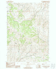 Little Lookout Mtn Oregon Historical topographic map, 1:24000 scale, 7.5 X 7.5 Minute, Year 1988