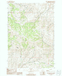 Little Lookout Mtn Oregon Historical topographic map, 1:24000 scale, 7.5 X 7.5 Minute, Year 1988