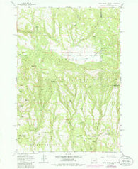 Little Summit Prairie Oregon Historical topographic map, 1:24000 scale, 7.5 X 7.5 Minute, Year 1966