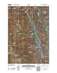 Little Baldy Mountain Oregon Historical topographic map, 1:24000 scale, 7.5 X 7.5 Minute, Year 2011