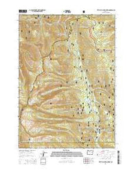 Little Baldy Mountain Oregon Current topographic map, 1:24000 scale, 7.5 X 7.5 Minute, Year 2014