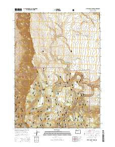 Little Honey Creek Oregon Current topographic map, 1:24000 scale, 7.5 X 7.5 Minute, Year 2014