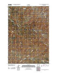 Little Lookout Mountain Oregon Historical topographic map, 1:24000 scale, 7.5 X 7.5 Minute, Year 2011