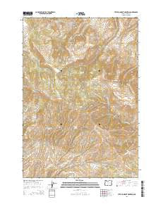 Little Lookout Mountain Oregon Current topographic map, 1:24000 scale, 7.5 X 7.5 Minute, Year 2014