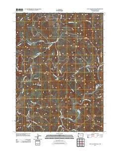 Live Oak Mountain Oregon Historical topographic map, 1:24000 scale, 7.5 X 7.5 Minute, Year 2011