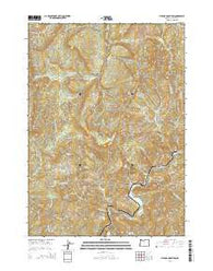 Live Oak Mountain Oregon Current topographic map, 1:24000 scale, 7.5 X 7.5 Minute, Year 2014