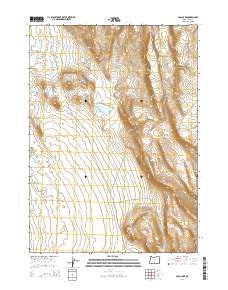 Loco Lake Oregon Current topographic map, 1:24000 scale, 7.5 X 7.5 Minute, Year 2014