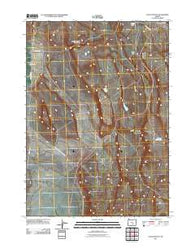 Locust Butte Oregon Historical topographic map, 1:24000 scale, 7.5 X 7.5 Minute, Year 2011