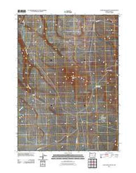 Lone Grave Butte Oregon Historical topographic map, 1:24000 scale, 7.5 X 7.5 Minute, Year 2011