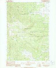 Lookout Mountain Oregon Historical topographic map, 1:24000 scale, 7.5 X 7.5 Minute, Year 1990