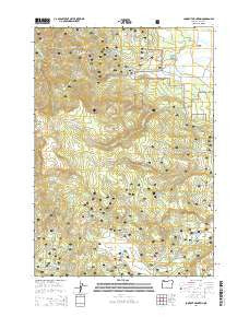 Lookout Mountain Oregon Current topographic map, 1:24000 scale, 7.5 X 7.5 Minute, Year 2014