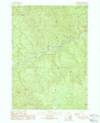 Mace Mountain Oregon Historical topographic map, 1:24000 scale, 7.5 X 7.5 Minute, Year 1989