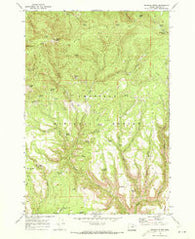 Madison Butte Oregon Historical topographic map, 1:24000 scale, 7.5 X 7.5 Minute, Year 1969
