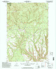 Madison Butte Oregon Historical topographic map, 1:24000 scale, 7.5 X 7.5 Minute, Year 1995