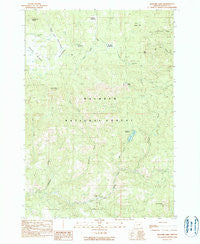 Magone Lake Oregon Historical topographic map, 1:24000 scale, 7.5 X 7.5 Minute, Year 1990