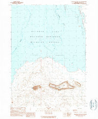 Malheur Lake East Oregon Historical topographic map, 1:24000 scale, 7.5 X 7.5 Minute, Year 1990