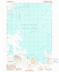 Malheur Lake West Oregon Historical topographic map, 1:24000 scale, 7.5 X 7.5 Minute, Year 1990