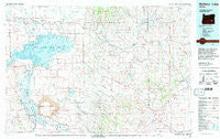Malheur Lake Oregon Historical topographic map, 1:100000 scale, 30 X 60 Minute, Year 1978