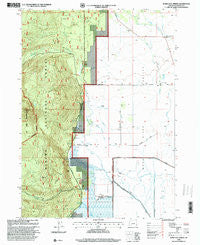 Mares Egg Spring Oregon Historical topographic map, 1:24000 scale, 7.5 X 7.5 Minute, Year 1998