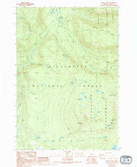 Marion Forks Oregon Historical topographic map, 1:24000 scale, 7.5 X 7.5 Minute, Year 1988