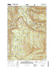 Marion Forks Oregon Current topographic map, 1:24000 scale, 7.5 X 7.5 Minute, Year 2014
