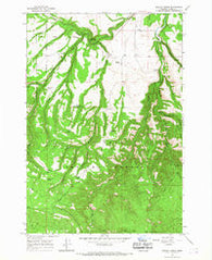 Marley Creek Oregon Historical topographic map, 1:24000 scale, 7.5 X 7.5 Minute, Year 1965