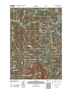 Marys Peak Oregon Historical topographic map, 1:24000 scale, 7.5 X 7.5 Minute, Year 2011