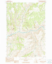 Masiker Mountain Oregon Historical topographic map, 1:24000 scale, 7.5 X 7.5 Minute, Year 1990