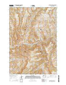 Masiker Mountain Oregon Current topographic map, 1:24000 scale, 7.5 X 7.5 Minute, Year 2014
