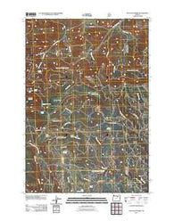 Matlock Prairie Oregon Historical topographic map, 1:24000 scale, 7.5 X 7.5 Minute, Year 2011