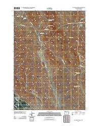 McCarthy Ridge Oregon Historical topographic map, 1:24000 scale, 7.5 X 7.5 Minute, Year 2011