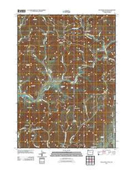 McConville Peak Oregon Historical topographic map, 1:24000 scale, 7.5 X 7.5 Minute, Year 2011