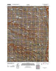 McCoy Ridge Oregon Historical topographic map, 1:24000 scale, 7.5 X 7.5 Minute, Year 2011