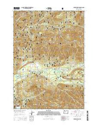 McKenzie Bridge Oregon Current topographic map, 1:24000 scale, 7.5 X 7.5 Minute, Year 2014