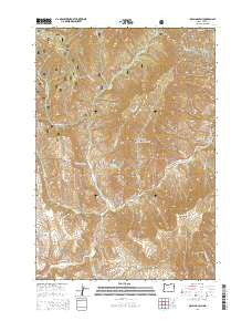 McLain Gulch Oregon Current topographic map, 1:24000 scale, 7.5 X 7.5 Minute, Year 2014