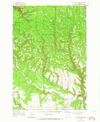 Mc Intyre Creek Oregon Historical topographic map, 1:24000 scale, 7.5 X 7.5 Minute, Year 1964
