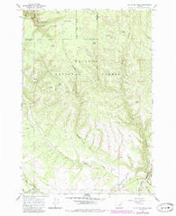 Mc Intyre Creek Oregon Historical topographic map, 1:24000 scale, 7.5 X 7.5 Minute, Year 1964