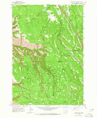 Meacham Lake Oregon Historical topographic map, 1:24000 scale, 7.5 X 7.5 Minute, Year 1963