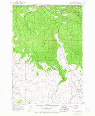 Medical Springs Oregon Historical topographic map, 1:24000 scale, 7.5 X 7.5 Minute, Year 1965