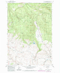 Medical Springs Oregon Historical topographic map, 1:24000 scale, 7.5 X 7.5 Minute, Year 1965