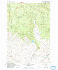 Medical Springs Oregon Historical topographic map, 1:24000 scale, 7.5 X 7.5 Minute, Year 1993