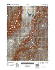 Mickey Springs Oregon Historical topographic map, 1:24000 scale, 7.5 X 7.5 Minute, Year 2011