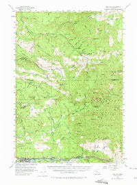 Mill City Oregon Historical topographic map, 1:62500 scale, 15 X 15 Minute, Year 1955