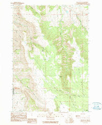 Miller Flat Oregon Historical topographic map, 1:24000 scale, 7.5 X 7.5 Minute, Year 1990