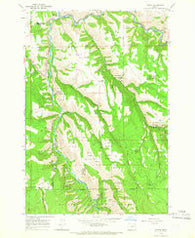 Minam Oregon Historical topographic map, 1:24000 scale, 7.5 X 7.5 Minute, Year 1964